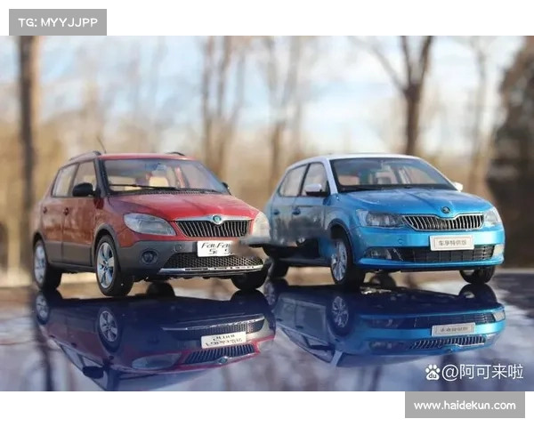 Fabia晶锐:22万车主的精心之选 Fabia晶锐:22万车主的精心之选
