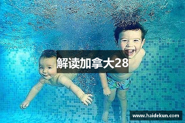 解读加拿大28